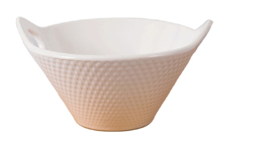 Nordic simple noodle bowl 